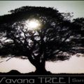 african savana tree