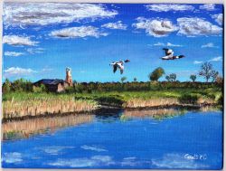 River  geese
