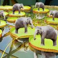 visione surreale:elefantini senza gravita'