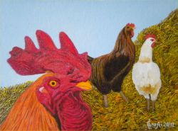 LG 0215 - Il gallo e le galline