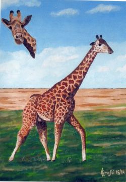 LG 0264 - La Giraffa