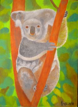 LG 0353 - Il Koala