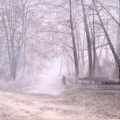Nebbia invernale