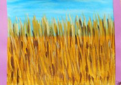 Fields of gold ( Campi d'oro )