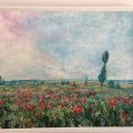 Campo di papaveri, omaggio a Monet
