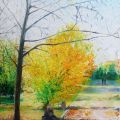 Pavia - autunno ('13)