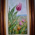 campo di tulipani