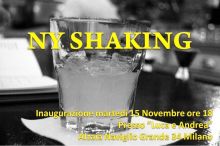 Ny shakes - pictures by margherita vitellozzi